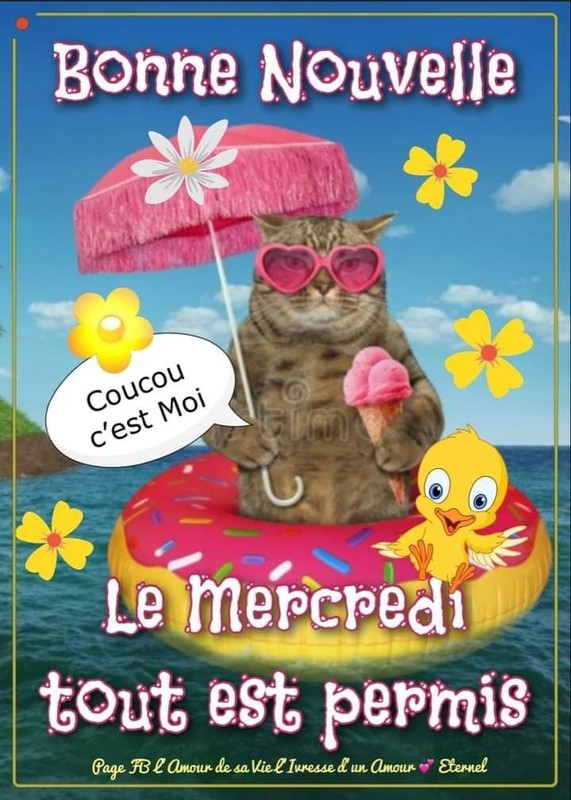 Bon mercredi