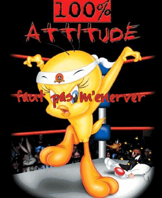 Titi 100 % attitude