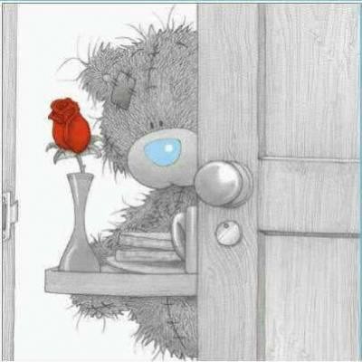 Teddy petit déjeuner