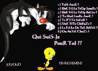 Qui suis je ? 