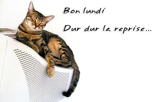 Bon lundi