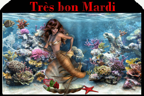 Image du Blog imagesetpassion.centerblog.net