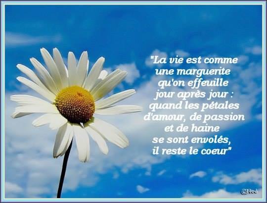 Citations poemes - Page 15
