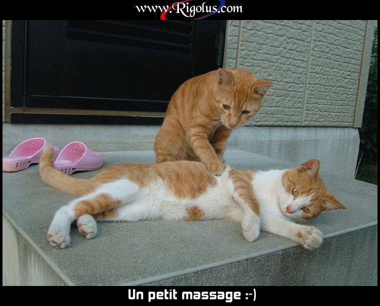 Envie d'un massage ?